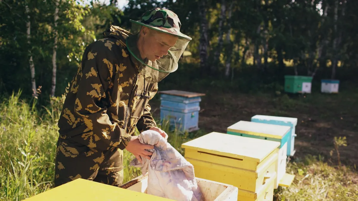 Common Mistakes New Beekeepers Make in Their First Year